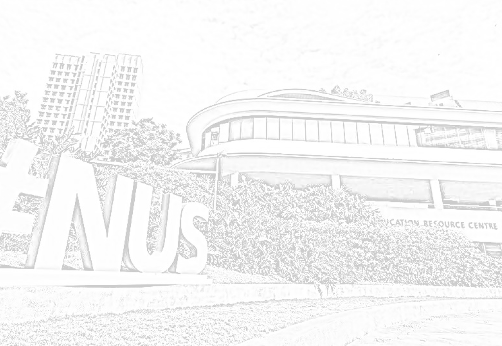 A background of NUS